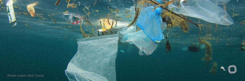 ADB signs $44.2 million blue loan with ALBA to reduce ocean plastic waste in Indonesia