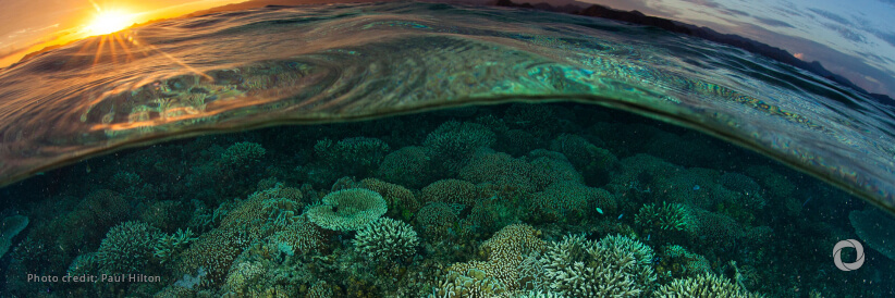 World Oceans Day underscores need to protect ‘the foundation of life’