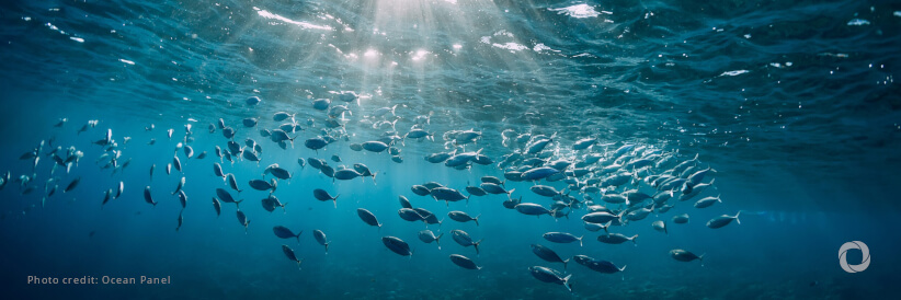 EU Mission ‘Restore our Ocean and Waters': €106 million for 18 new projects for protection, conservation, depollution and innovation EU Mission ‘Restore our Ocean and Waters': €106 million for 18 new projects for protection, conservation, depollution and innovation