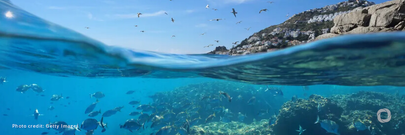 Momentum builds to “Blue” climate action at June Ocean Dialogue