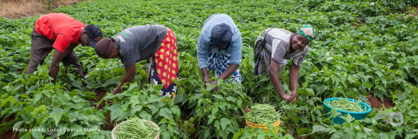 New IFAD initiative with EU funding to boost rural development in Kenya through digital remittances