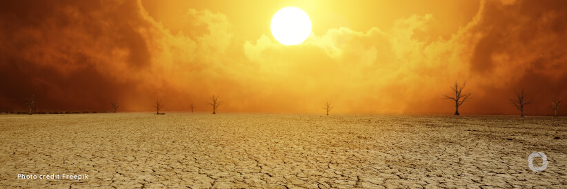 World Meteorological Organization declares onset of El Niño conditions World Meteorological Organization declares onset of El Niño conditions