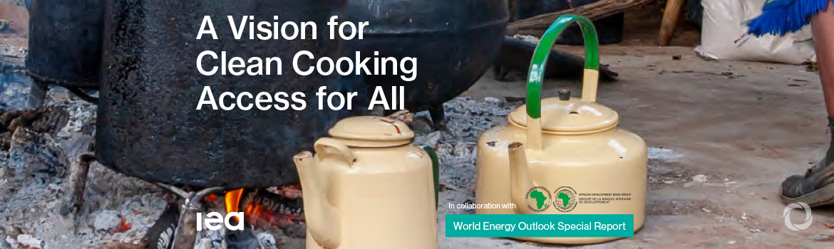 Low-cost solutions can give billions access to modern cooking by 2030, but the world is failing to deliver Low-cost solutions can give billions access to modern cooking by 2030, but the world is failing to deliver