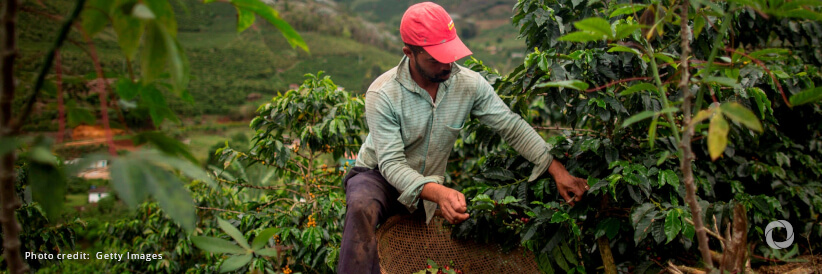 The UN’s agricultural development fund announces new US$900 million investment to improve over 600,000 rural lives in Brazil The UN’s agricultural development fund announces new US$900 million investment to improve over 600,000 rural lives in Brazil