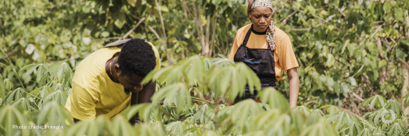 UNDP deploys record US$500 million of Global Environment Facility funds to ramp up the fight against biodiversity loss and climate change UNDP deploys record US$500 million of Global Environment Facility funds to ramp up the fight against biodiversity loss and climate change
