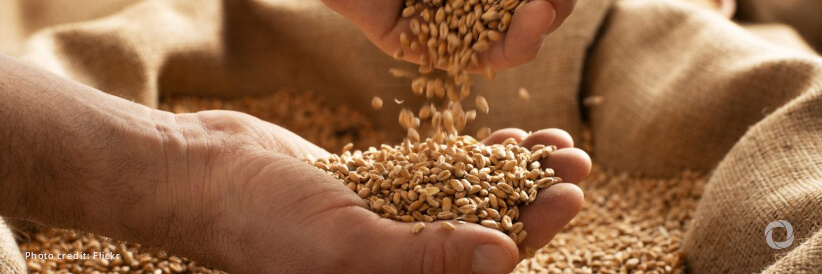 Suspension of Black Sea Grain Deal will exacerbate global food insecurity Suspension of Black Sea Grain Deal will exacerbate global food insecurity