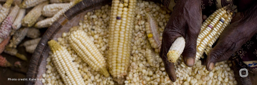 Funding crunch forces WFP to halve food rations for refugees amidst worsening hunger in Malawi Funding crunch forces WFP to halve food rations for refugees amidst worsening hunger in Malawi