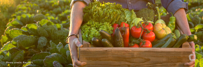 FAO Food Price Index continued declining in June FAO Food Price Index continued declining in June