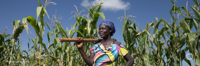 Transforming Global Food Systems: $400 billion needed per year while doing nothing could cost $12 trillion Transforming Global Food Systems: $400 billion needed per year while doing nothing could cost $12 trillion