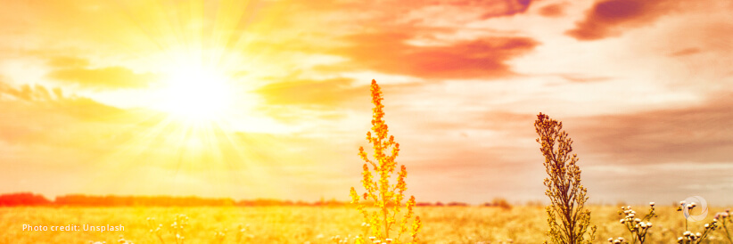 Heatwaves, wildfires mark summer of extremes Heatwaves, wildfires mark summer of extremes