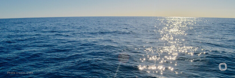 Preliminary data shows hottest week on record. Sea surface temperatures unprecedented Preliminary data shows hottest week on record. Sea surface temperatures unprecedented