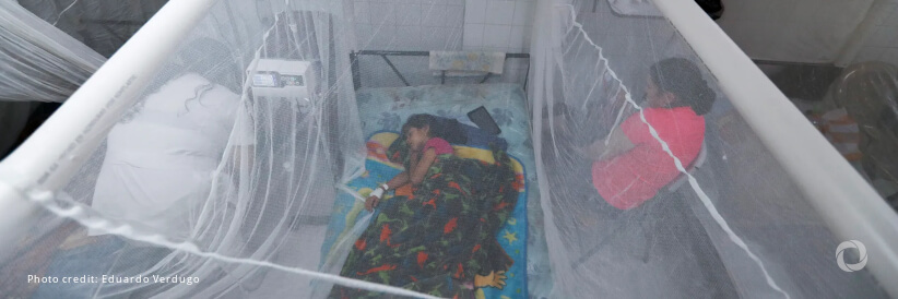 Dengue outbreaks threaten children across Asia as extreme weather spurs mosquitos