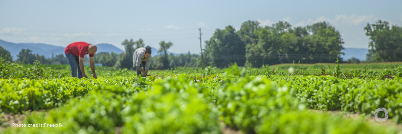 UN’s IFAD goes to Ireland calling for increased funding to rural people in bid to curb global food insecurity UN’s IFAD goes to Ireland calling for increased funding to rural people in bid to curb global food insecurity