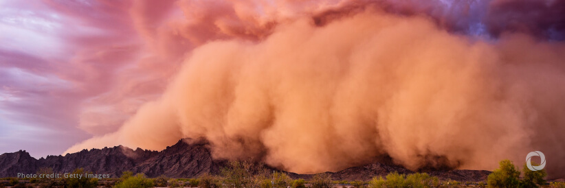 WMO highlights efforts to tackle sand and dust storms WMO highlights efforts to tackle sand and dust storms
