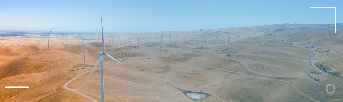 Egypt and Germany sign debt swap agreement to support green energy transition