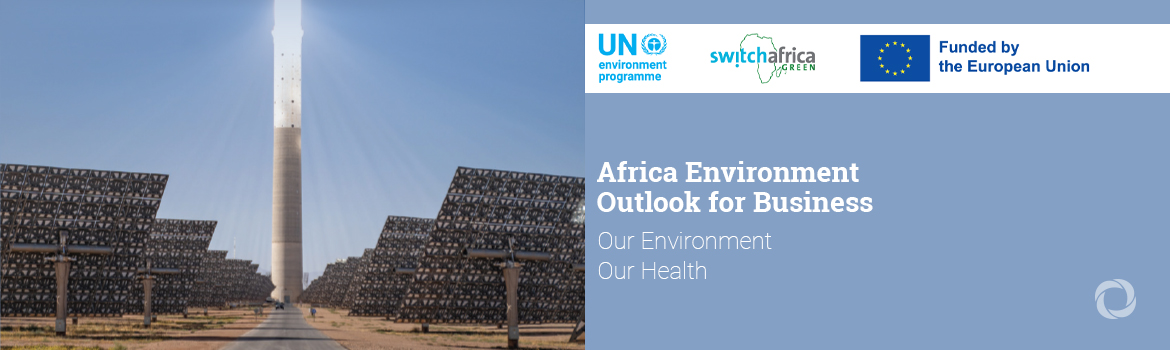 Africa’s green business opportunities are abundant, UNEP study shows Africa’s green business opportunities are abundant, UNEP study shows