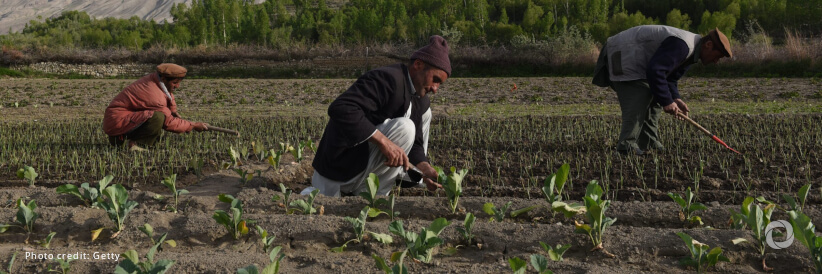 Afghanistan: Community-based FAO irrigation project receives support from Japan