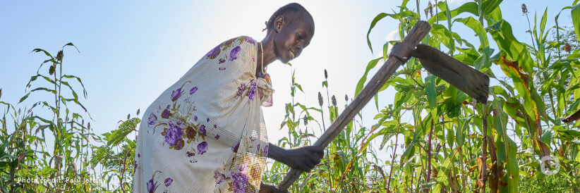 South Sudan: FAO intensifies efforts to increase resilience of agrifood systems to threats and crises