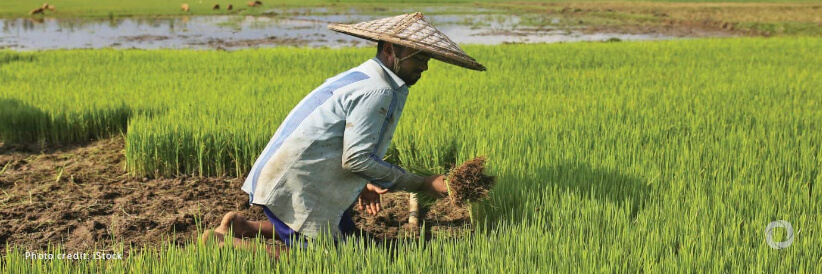 IFAD and Bangladesh observe 45 years of successful rural transformation IFAD and Bangladesh observe 45 years of successful rural transformation
