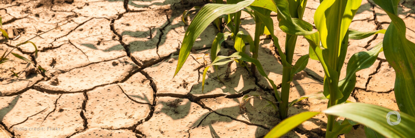 Bridging troubled waters amid deluge, drought in the US Bridging troubled waters amid deluge, drought in the US