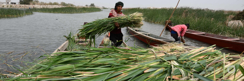 Agri-Tech solutions for better climate resilience in displacement affected areas in Iraq Agri-Tech solutions for better climate resilience in displacement affected areas in Iraq