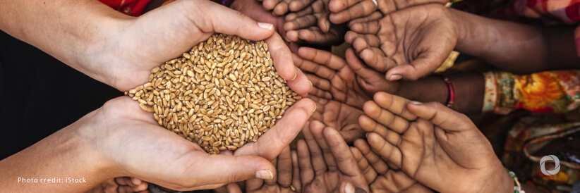 Lebanon: Debt and inflation contribute to food insecurity