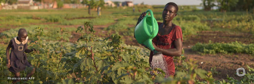 UN and South Sudan join forces to boost rural development through producers’ organizations and access to finance