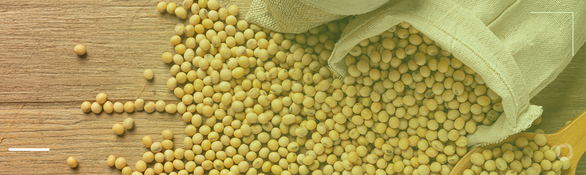 Five largest soybean-producing countries. An in-depth look