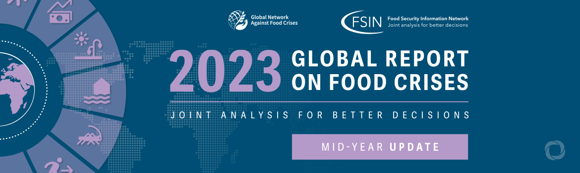 Global Food Crises – mid-year update 2023: hunger and malnutrition levels remain alarmingly high