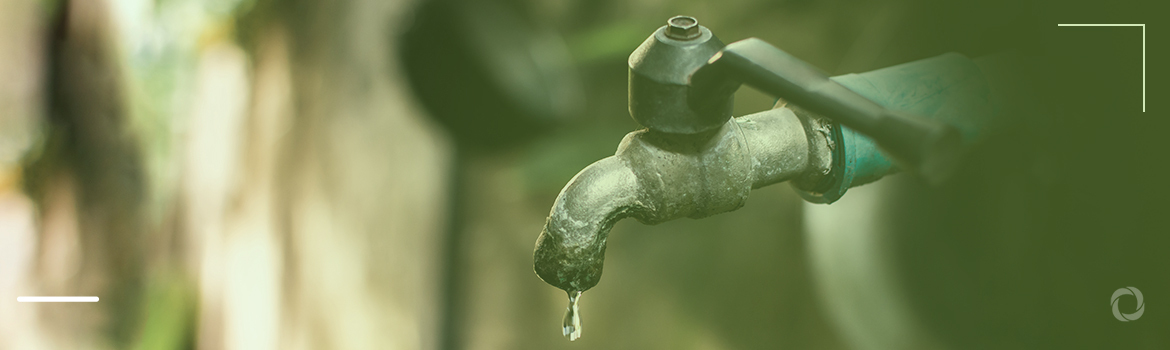 Climate change, population growth push Egypt to the brink of water crisis
