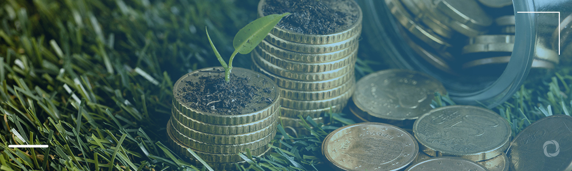 IMF releases new guidance on improved climate alignment for the financial sector