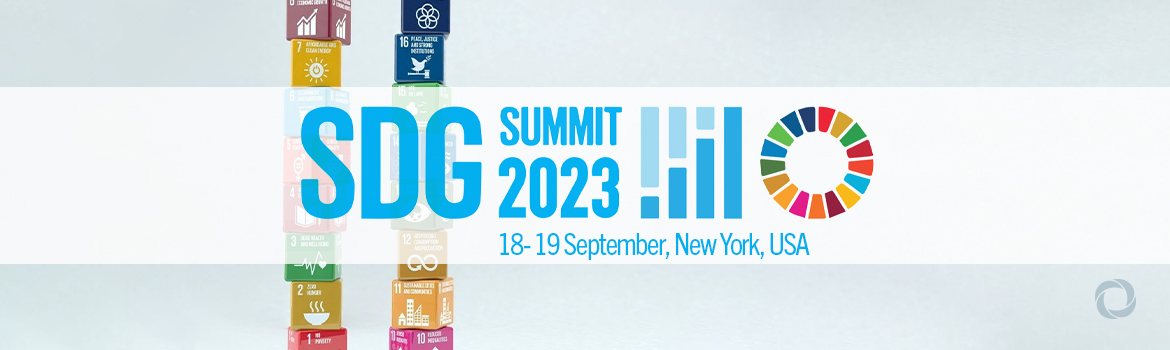 The 2023 SDG Summit