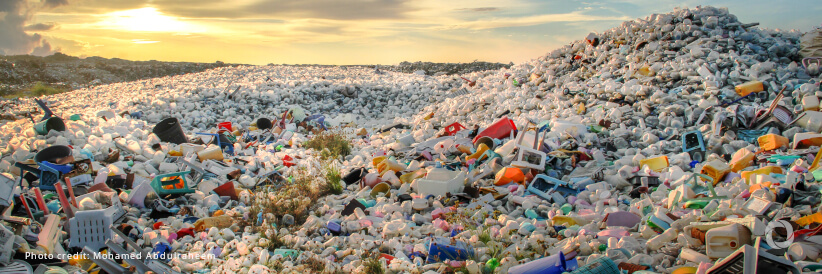 Republic of Korea to host World Environment Day 2025 with a focus on ending plastic pollution