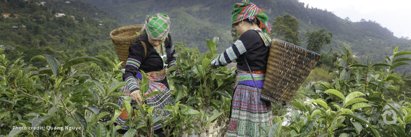 Citi Foundation announces recipients of inaugural Global Innovation Challenge