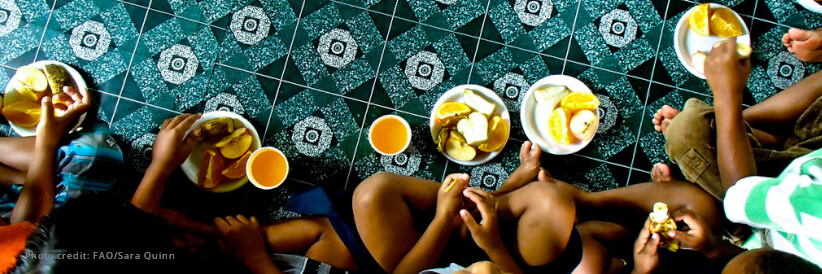 World Food Programme and UN Capital Development Fund launch new finance initiative to support zero hunger