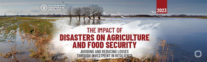 First-ever global estimation of the impact of disasters on agriculture First-ever global estimation of the impact of disasters on agriculture