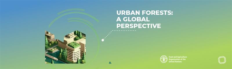 New FAO report calls for action to bridge ‘green social divide’ in cities New FAO report calls for action to bridge ‘green social divide’ in cities