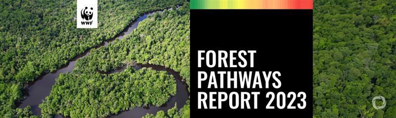 WWF sets out blueprint to save forests as new data reveals ‘devastating’ increase in global deforestation