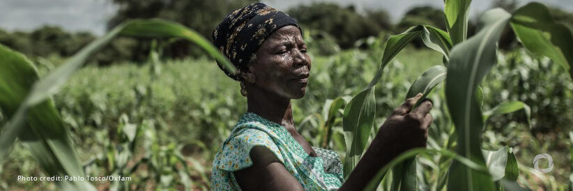 Green Climate Fund confirms FAO’s role in supporting countries’ access to climate action resources