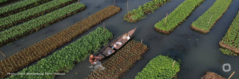 United States announces up to $79 million to expand research for Feed the Future