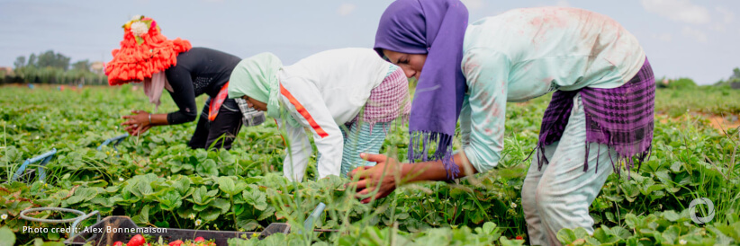 IFAD strengthens its investments in Morocco with a new €87 million agreement