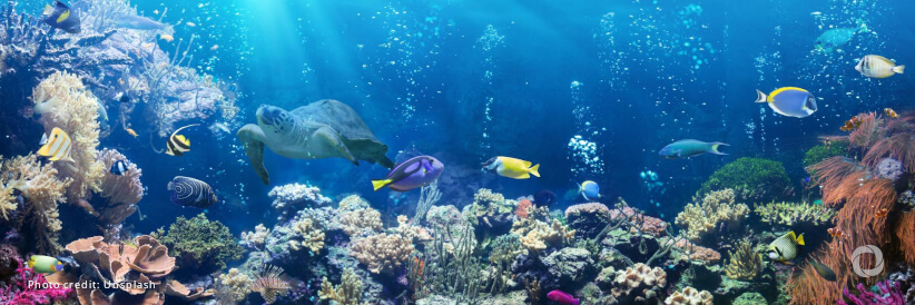 UK supports moratorium on deep sea mining to protect ocean and marine ecosystems
