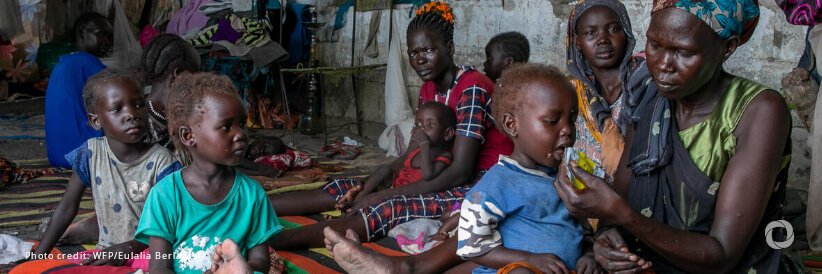 Fleeing danger, finding despair': hunger emergency looms for South Sudanese fleeing conflict in Sudan, warns WFP