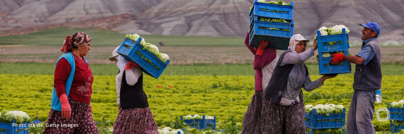 AKF and the European Union launch four-year €5.8m project to improve livelihoods and climate resilience in Syria