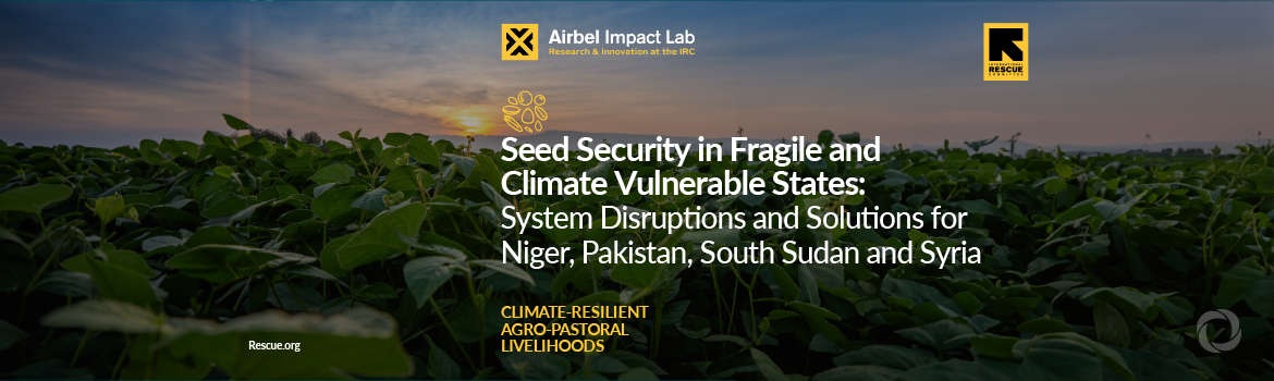 Seed Security in Fragile and Climate-Vulnerable States: new IRC report on tangible climate solutions for communities at risk