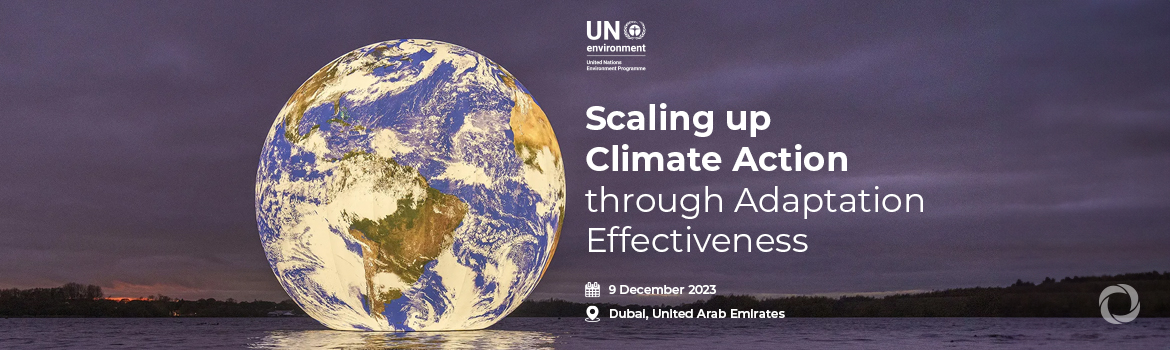 Scaling up Climate Action through Adaptation Effectiveness
