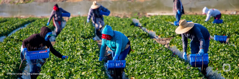 Commission allocates support of over €50 million to Greek and Slovenian farmers affected by natural disasters Commission allocates support of over €50 million to Greek and Slovenian farmers affected by natural disasters