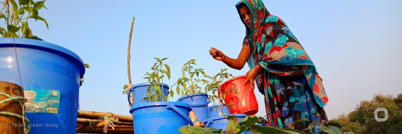 FAO at COP28: Agrifood systems solutions to shape climate agenda FAO at COP28: Agrifood systems solutions to shape climate agenda
