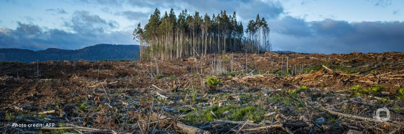 Global health community calls for urgent action on climate and health at COP28