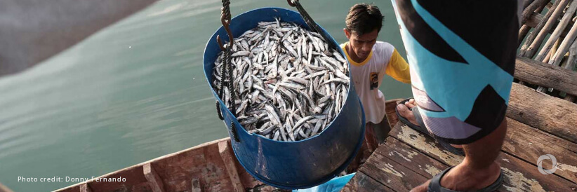 EU and Neighbourhood countries commit to enhanced fisheries management control in the Mediterranean and Black Sea EU and Neighbourhood countries commit to enhanced fisheries management control in the Mediterranean and Black Sea
